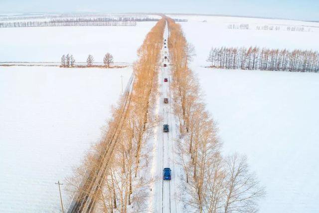 雪佛兰冰雪试驾｜下了雪地才知道这么多年驾照都白拿了