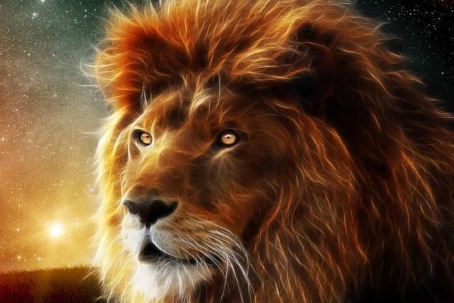 世界上最强的六大动物, 狮子垫底, 老虎第四, 最