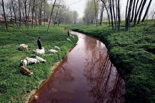 2018年,除了这两个风口浪尖行业,部分农民也要