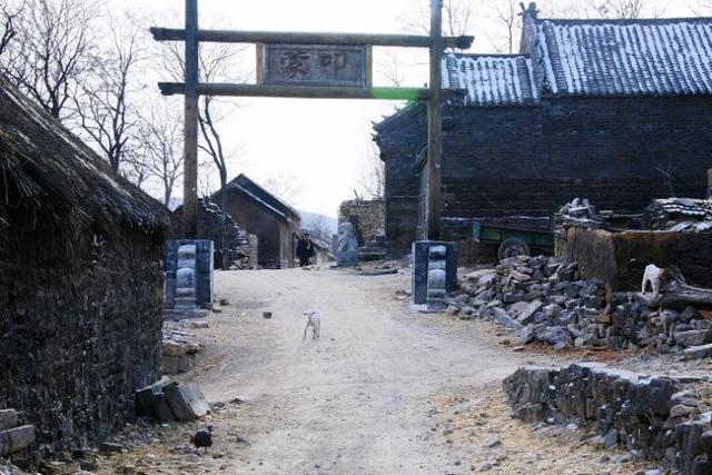 贡献了黄渤最多表情包的电影，讲了一个悲伤的故事-《斗牛》