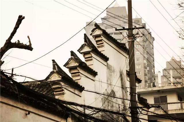 永寿街-梧桐树里的老街道，灰屋檐下的旧时光