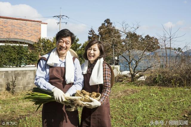 可耻!韩国游客被批素质低下,他们却说自己是中国人