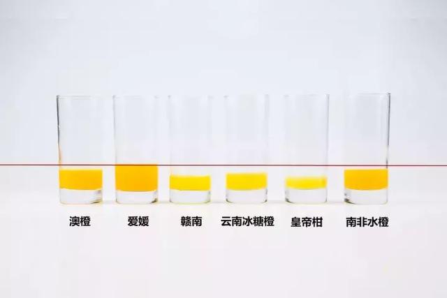 口感|橙子|皇帝柑_新浪新闻