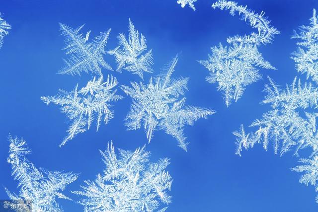 诗歌欣赏: 雪花
