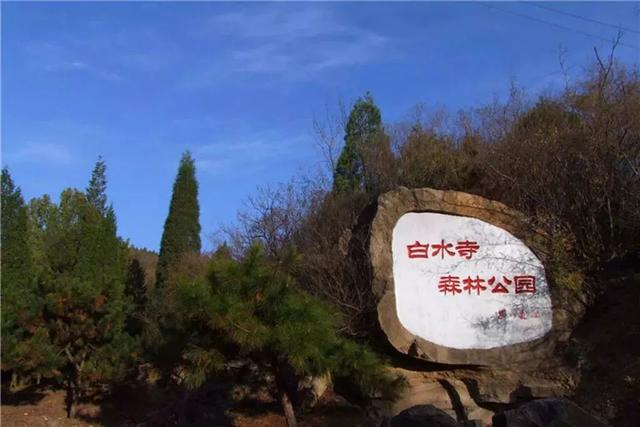 房 山 区 白水寺森林公园 雄鹰在崖畔逡巡,蜂蝶在花草中飞舞; 石化