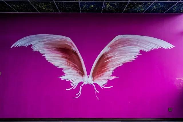 听说宜兴要开一家网红健身馆,好看的小哥哥小