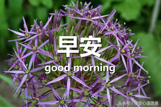 早安励志精辟语录 人生哲理经典感悟短句