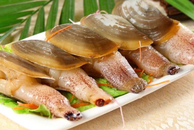 三亚到底好在哪里?为什么东北人四川人选择来