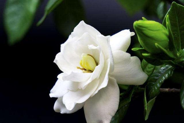 人穷志短(精辟、无奈、句句扎心)