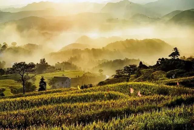 天台高颜值乡村大合集，不如择一处做个闲云野鹤的隐者吧!