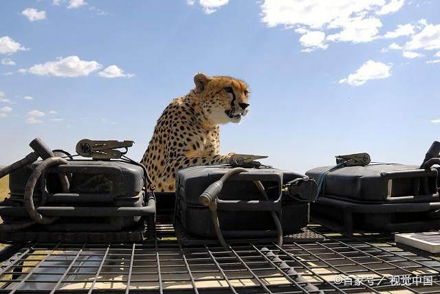 这种思路可行有需求,你不懂,所以别人才会赚钱