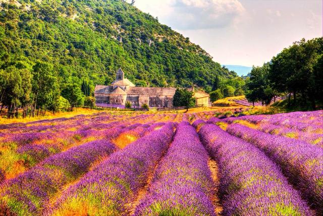 普罗旺斯的古罗马遗址有哪些？...