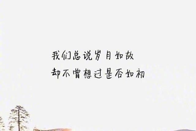 八个字的爱情唯美句子(短句经典 句句入心)