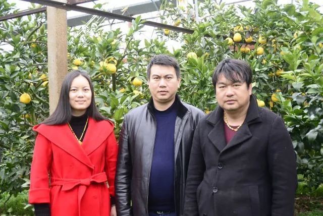 象山有个美人家族