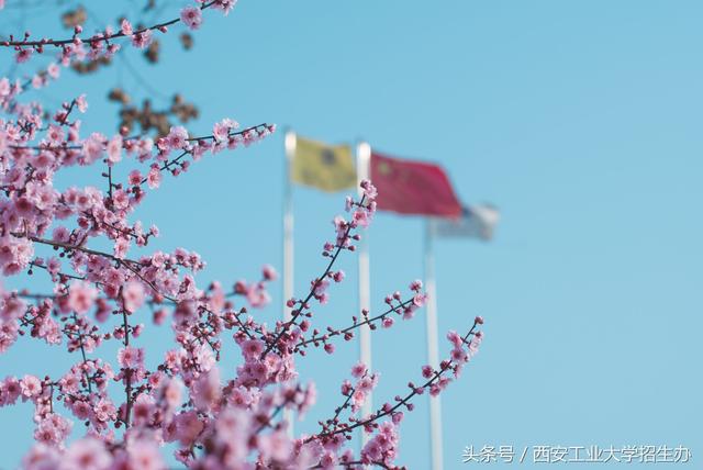 2000万的科研经费和200万的年薪,西安工大任