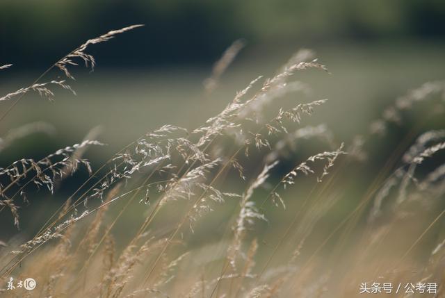 公务员待遇最好的部门?这几类专业考公更有优