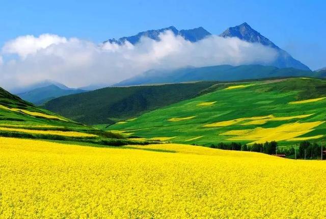 世界十大花海，中国入围的竟是这里！