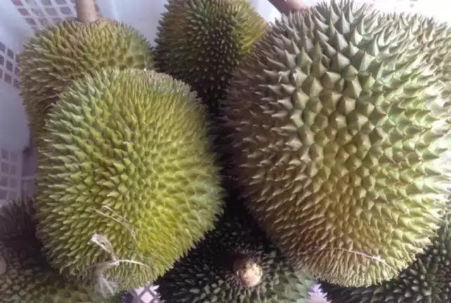 史上最全榴莲品种产地分类大全