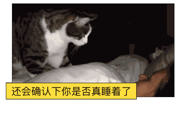 第一次和女孩子睡觉是什么体验?