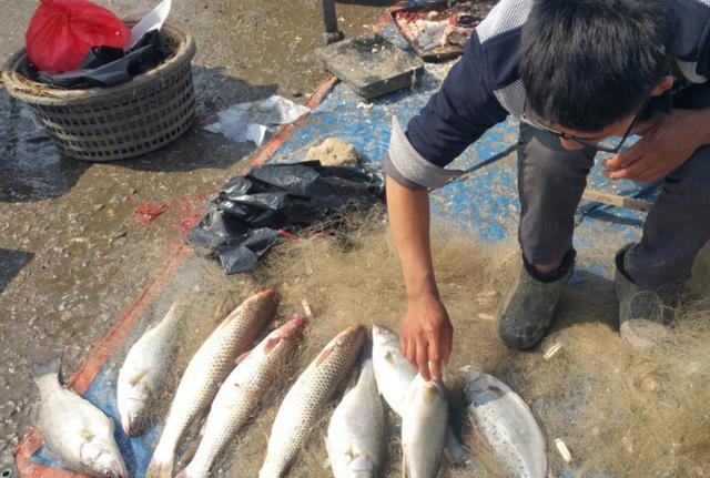 卖鱼的销售技巧是什么呢视频