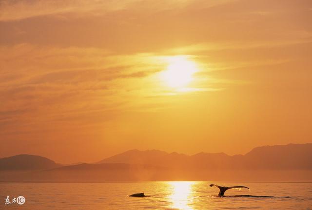 中国旅游现状:95%的景区都亏损?旅游景区到底