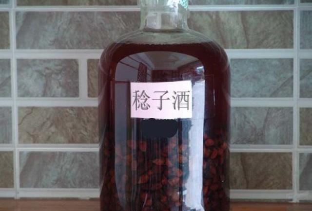小孩子只爱稔子的美味，农村人用山稔根煲汤浸酒才够养生