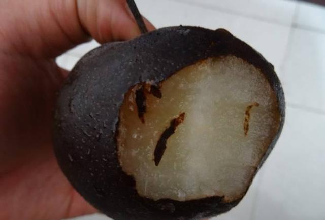 冻梨的快速制作及保存方法