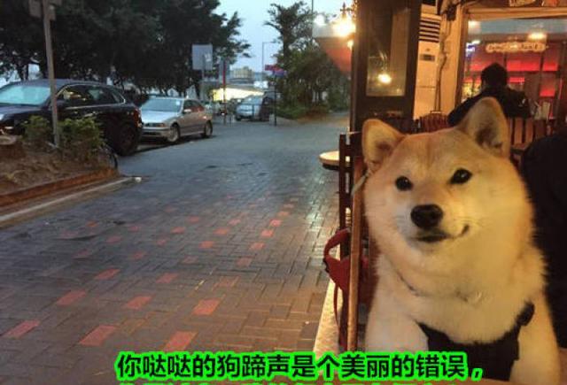 单身久了是什么感受?丧失了喜欢一个人的能力