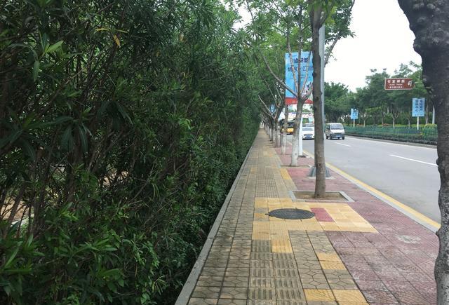 连厦门本地人都不一定知道的清静之地——石室禅院