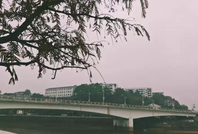 说不尽的桥，道不完的情｜江源大桥