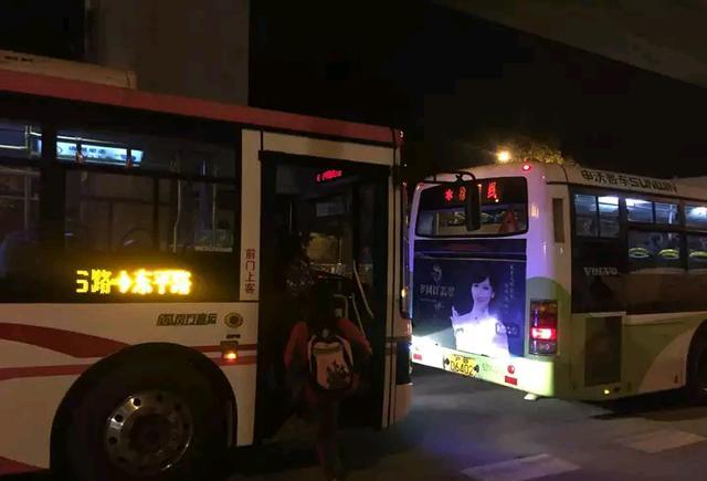 上海816路公交来了