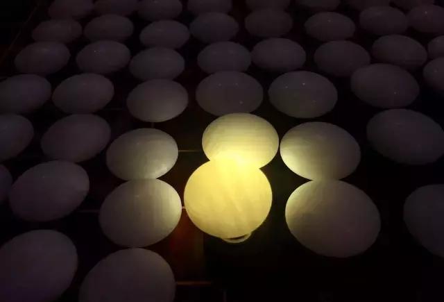 下围棋除了“装逼”用，还有这些你意想不到的作用