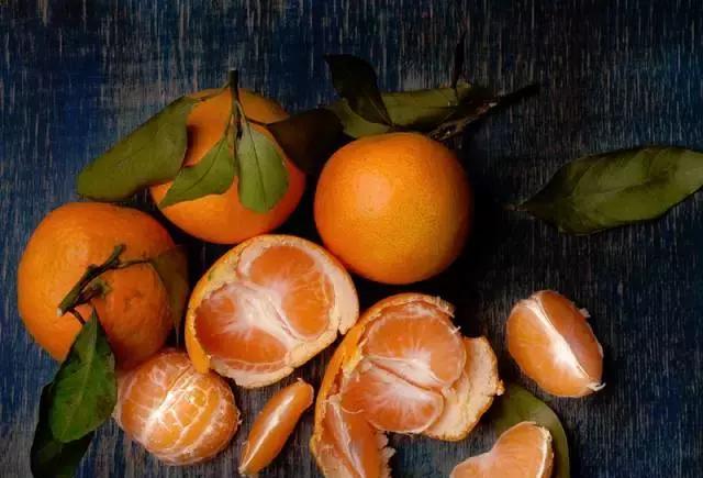 品当季美食,悟人生百态