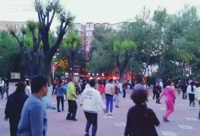 你所不知道的哈尔滨建国公园别想歪了不是踢砖头那事儿