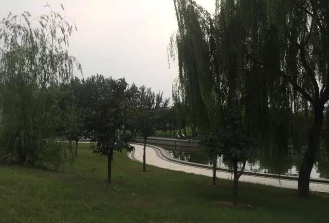 春天到了!温县人可以去这些地方踏青了!5个神