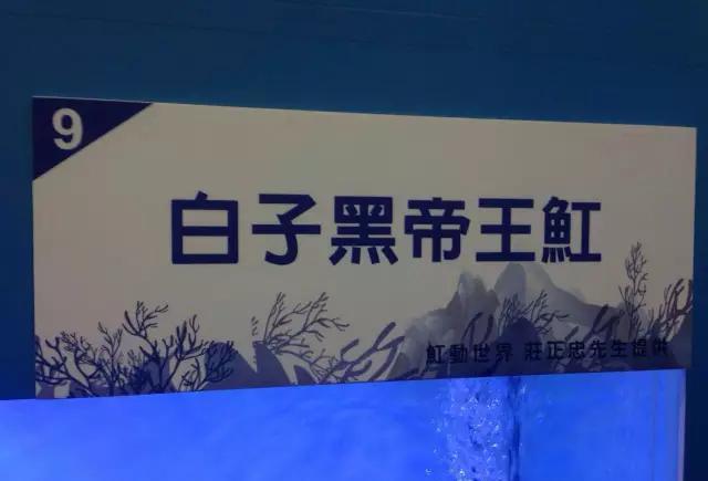 各种你没见过的新奇东西！不看后悔！