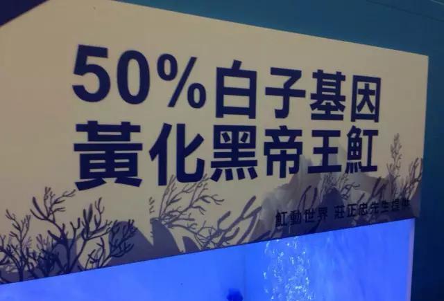 各种你没见过的新奇东西！不看后悔！