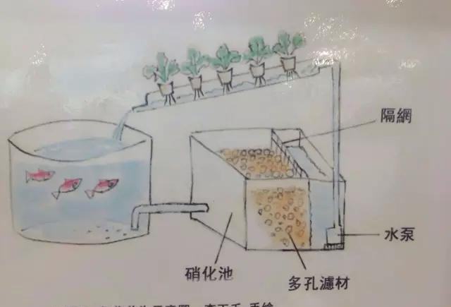 各种你没见过的新奇东西！不看后悔！