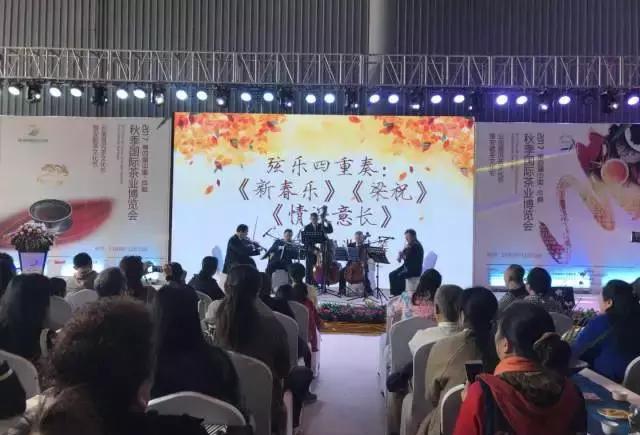 弦乐四重奏《新春乐》,《梁祝》,《茉莉花》