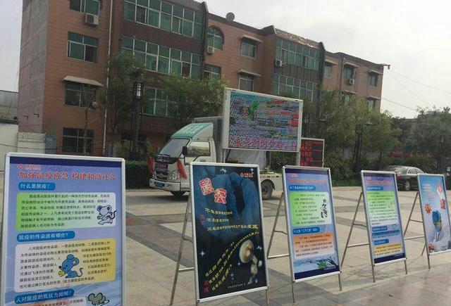 蠡县网站策划推广 新浪网