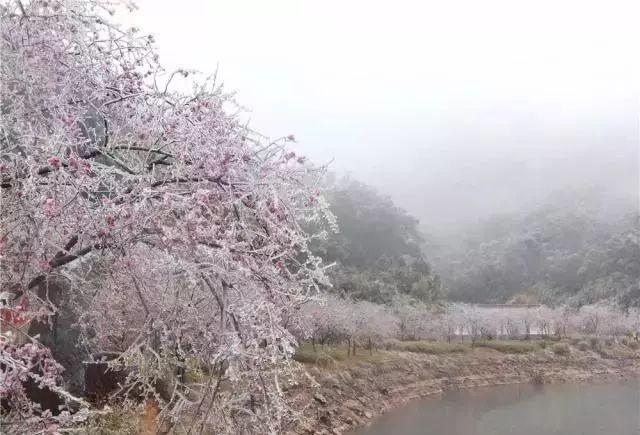 北方下雪我们下施华洛水晶广东各地雪景美哭