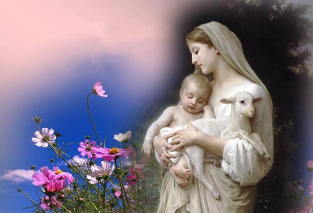 看了第一句就落泪了,妇人弱也,为母则强!当妈的都转疯了!