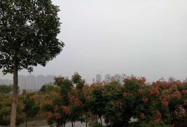 走访曾经的“鬼城”：洛阳伊滨区