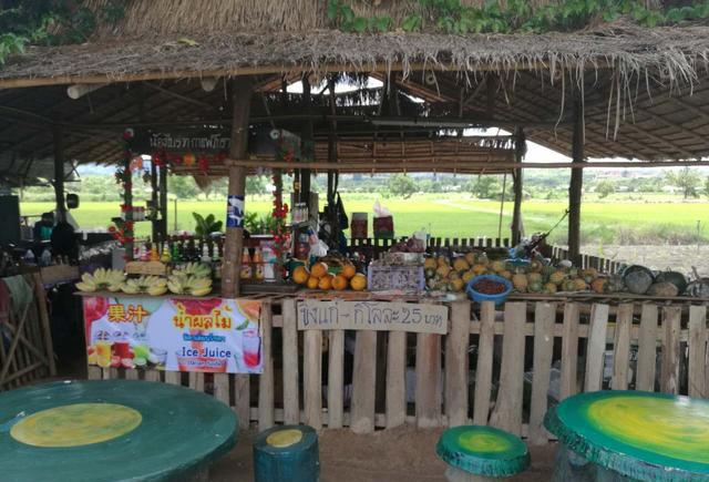 7月的泰国水果盛宴来了,不能带回国,那就吃个