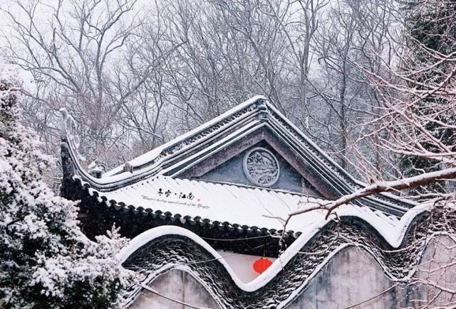 96519 江苏旅游投诉热线开通啦,维护权益不