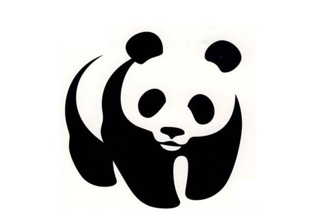 黑白卡可促进新生儿宝宝的视力发育