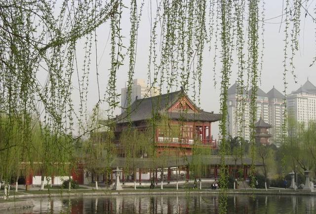西安市这几个公园景美不远，可以免费游玩