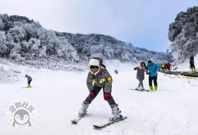 冬天怎么能错过耍雪 重庆周边10大滑雪场全攻略