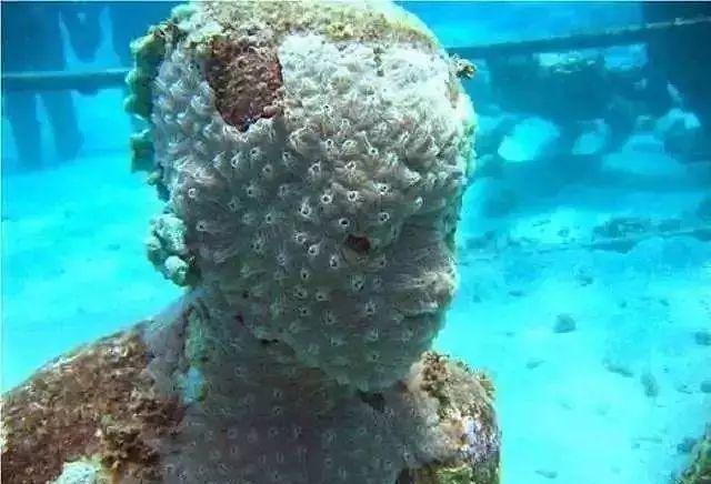 抚仙湖“千年尸库”、“湖底古城”?水下直播为您解密