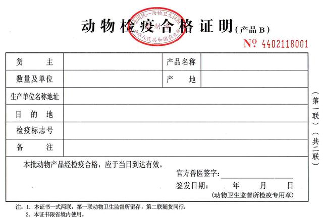 春节回老家,各位宠主必知的火车飞机托运宠物程序!